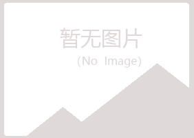 龙山区半知制造有限公司